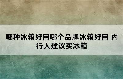 哪种冰箱好用哪个品牌冰箱好用 内行人建议买冰箱